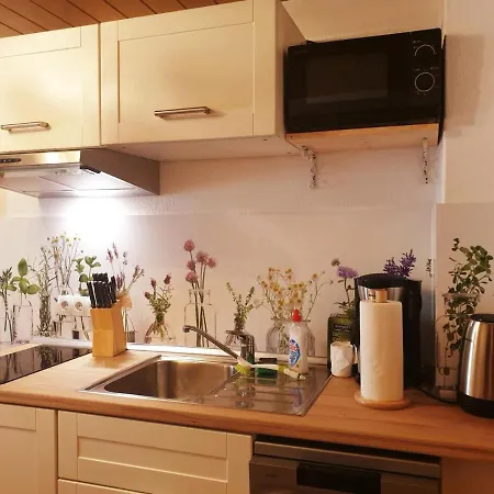 Haus Marienblick Apartment *